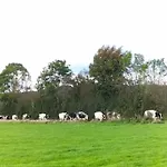 Casa vacanze Gite la Dame au Lit gite à la ferme Momignies