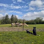 De La Dame Au Lit A La Ferme Chimay * Momignies