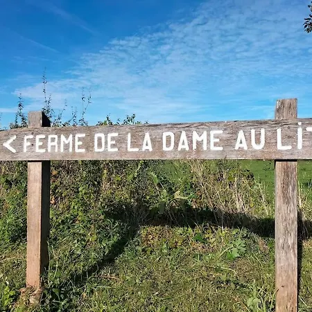 Casa vacanze Gîte de la Dame au Lit Gîte à la ferme Chimay *
