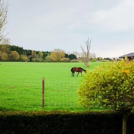 La Dame Au Lit A La Ferme Vakantiehuis *