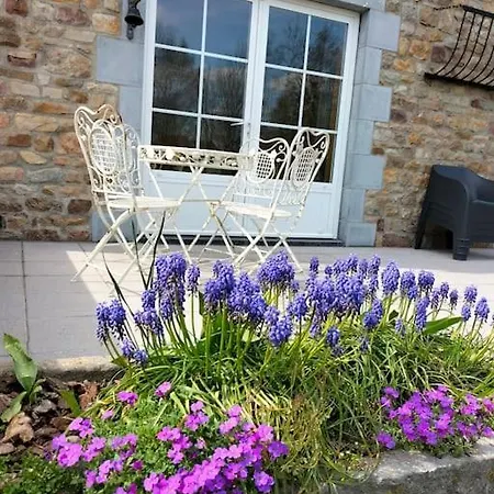 Vakantiehuis La Dame Au Lit A La Ferme Momignies