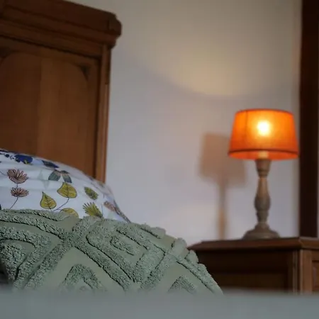 La Dame Au Lit A La Ferme Vakantiehuis Momignies