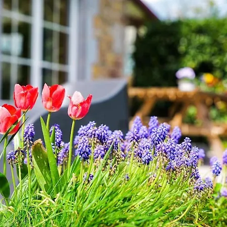 La Dame Au Lit à La Ferme