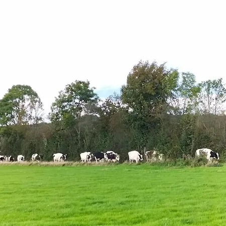 Feriehus La Dame Au Lit A La Ferme Momignies