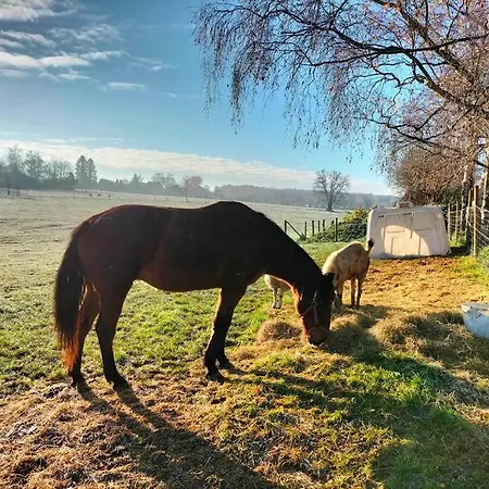 Gîte de la Dame au Lit Gîte à la ferme Chimay * Momignies