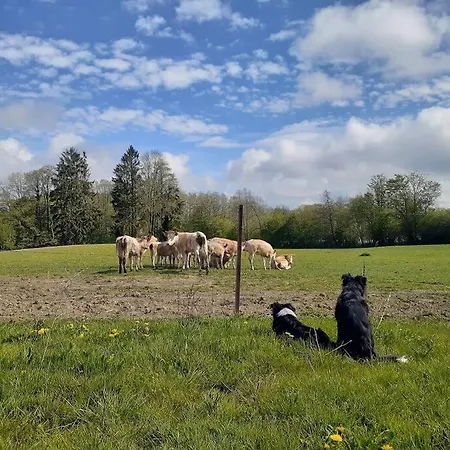 La Dame Au Lit Gite A La Ferme Chimay * Momignies