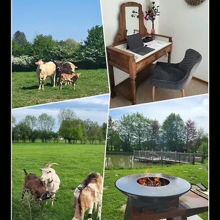 La Dame Au Lit Gite A La Ferme Chimay