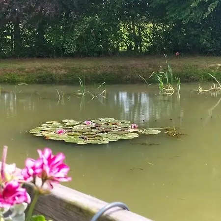Gîte de la Dame au Lit Gîte à la ferme Chimay Casa vacanze *