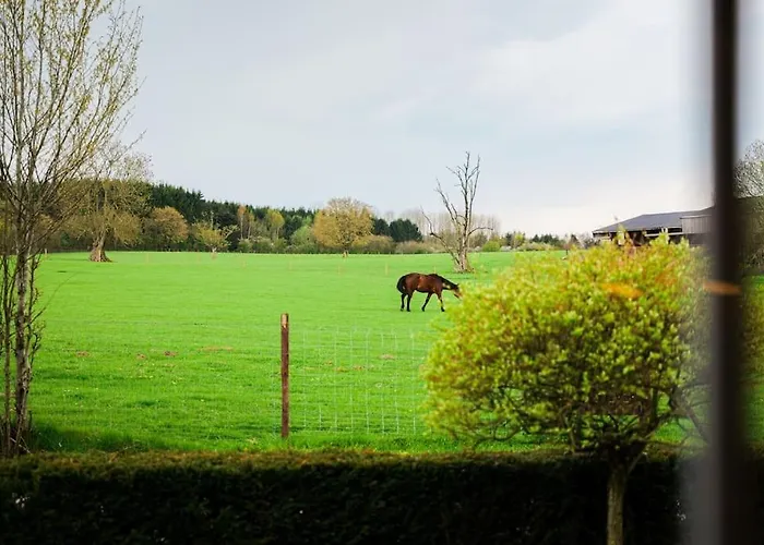 Gite la Dame au Lit gite à la ferme Hébergement de vacances *