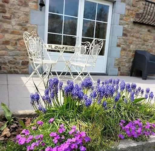 Hébergement de vacances Gite la Dame au Lit gite à la ferme Momignies