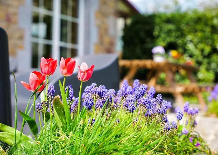 Gite la Dame au Lit gite à la ferme
