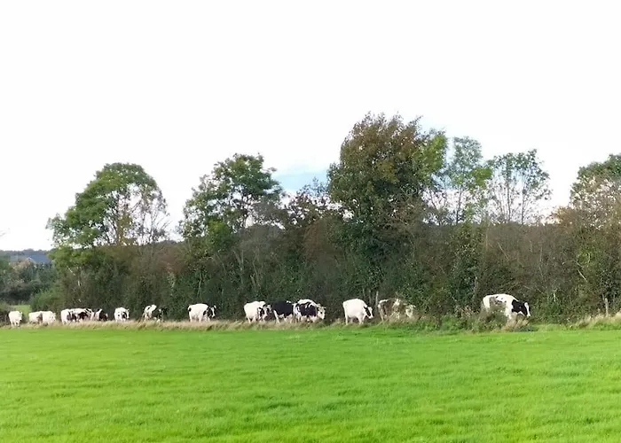 Hébergement de vacances Gite la Dame au Lit gite à la ferme Momignies