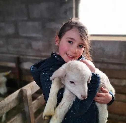 Hébergement de vacances Gite la Dame au Lit gite à la ferme Momignies
