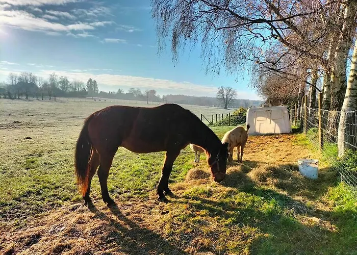 Gite la Dame au Lit gite à la ferme * Momignies
