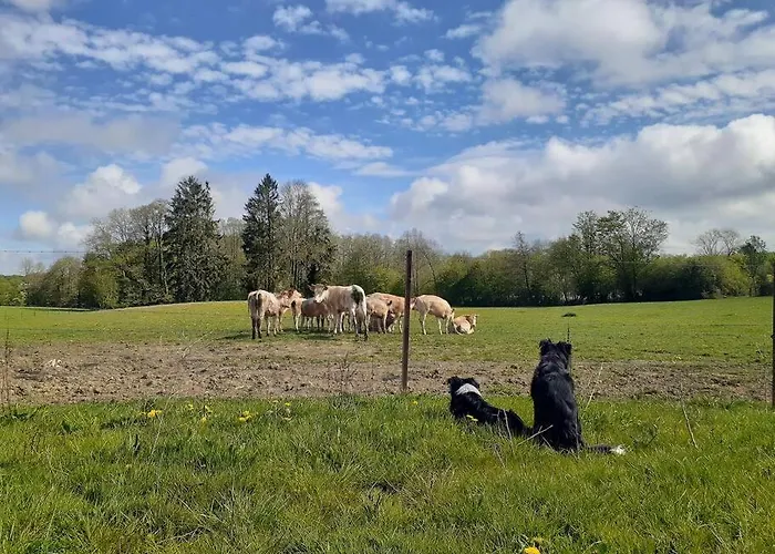 Gite la Dame au Lit gite à la ferme * Momignies